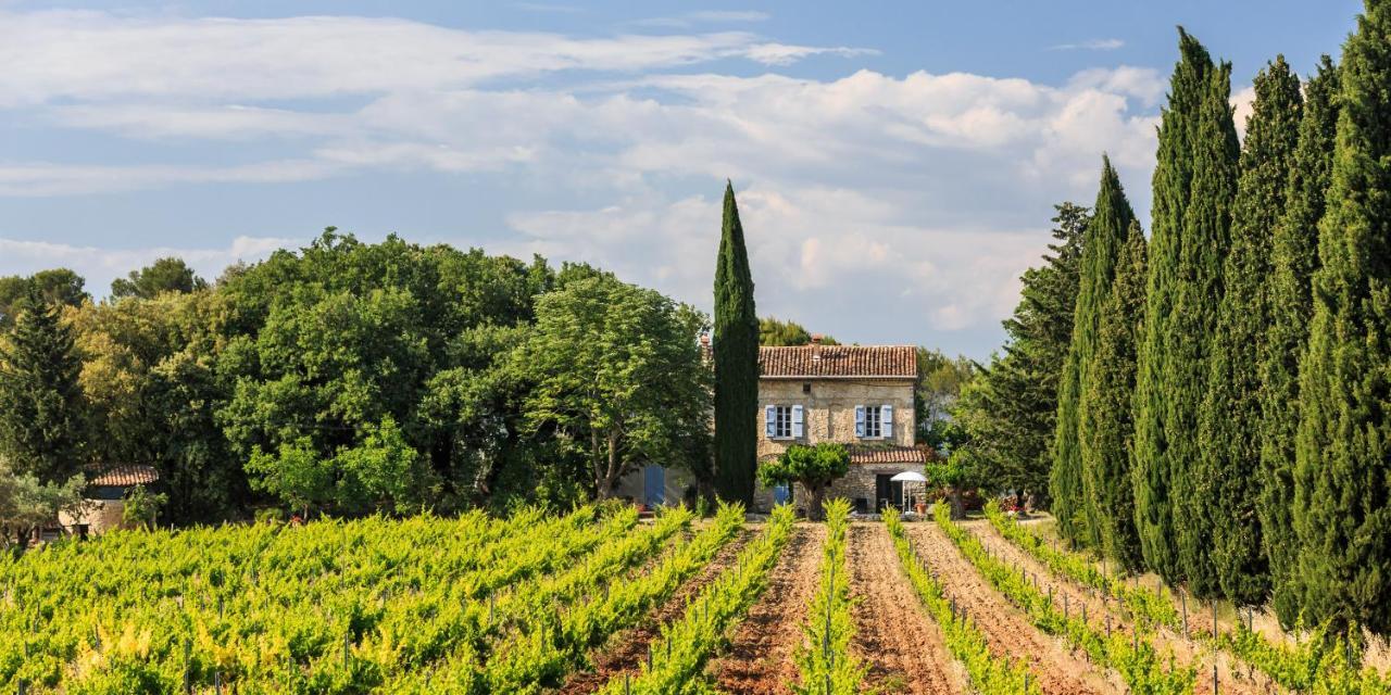 Chateau Saint-Esprit Bed and Breakfast Draguignan Esterno foto