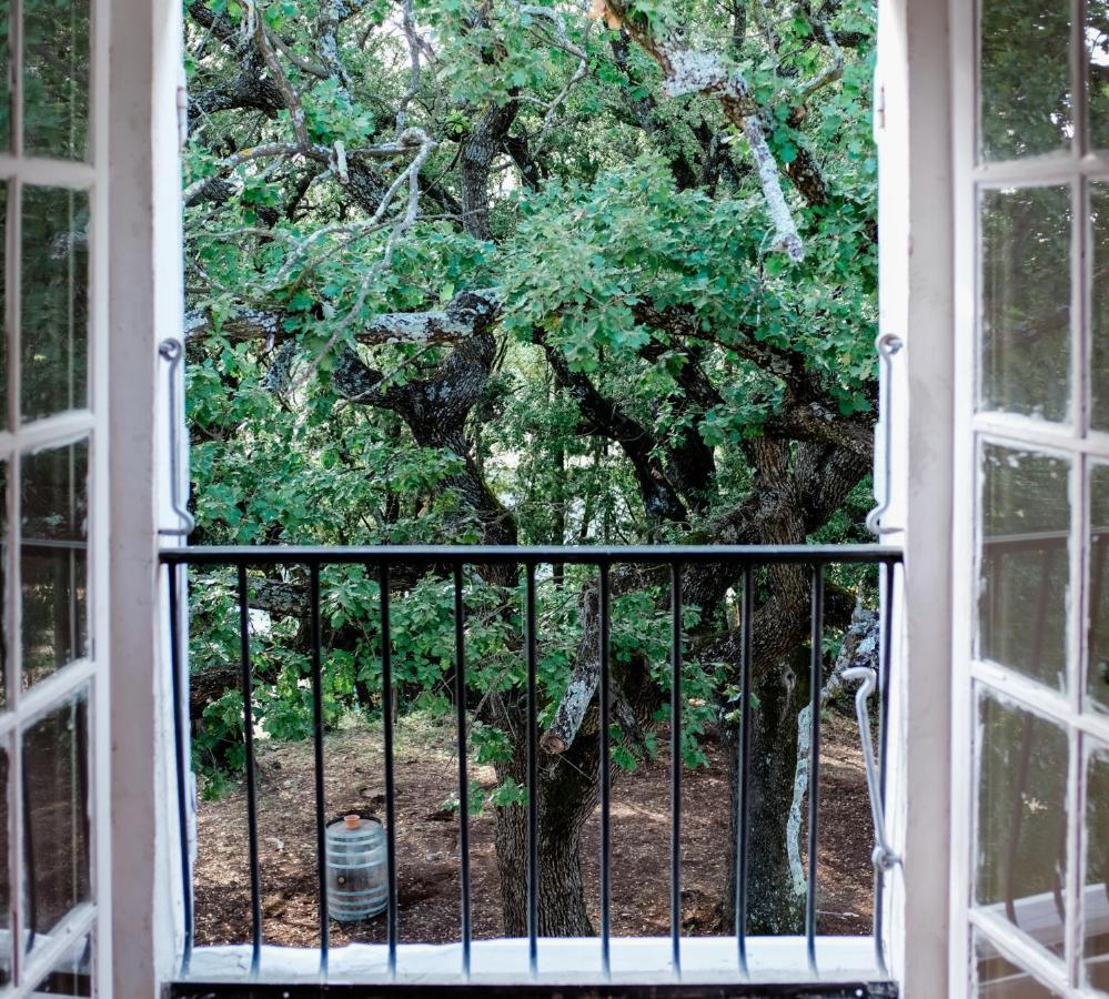 Chateau Saint-Esprit Bed and Breakfast Draguignan Esterno foto